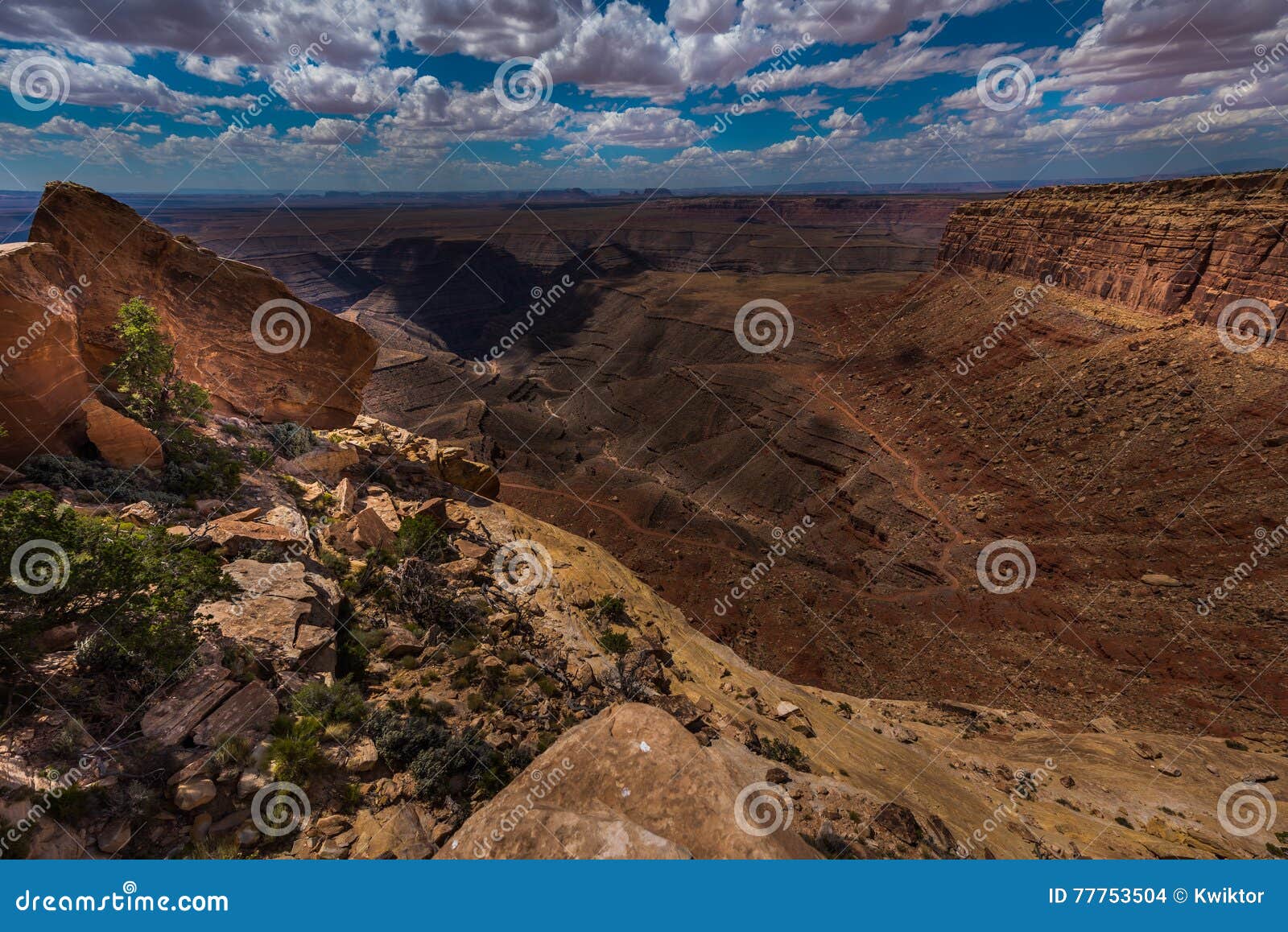 Muley Point Overlook