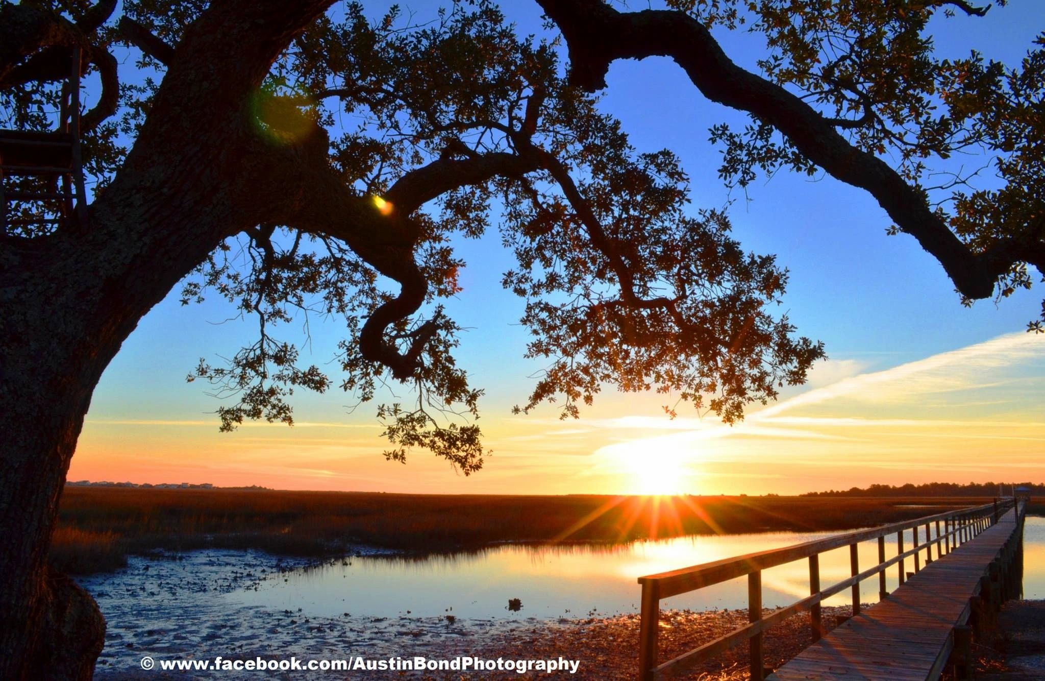 Murrells Inlet MarshWalk