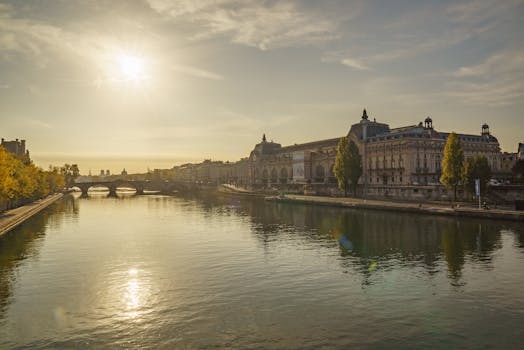 Musée de la Cour d'Or