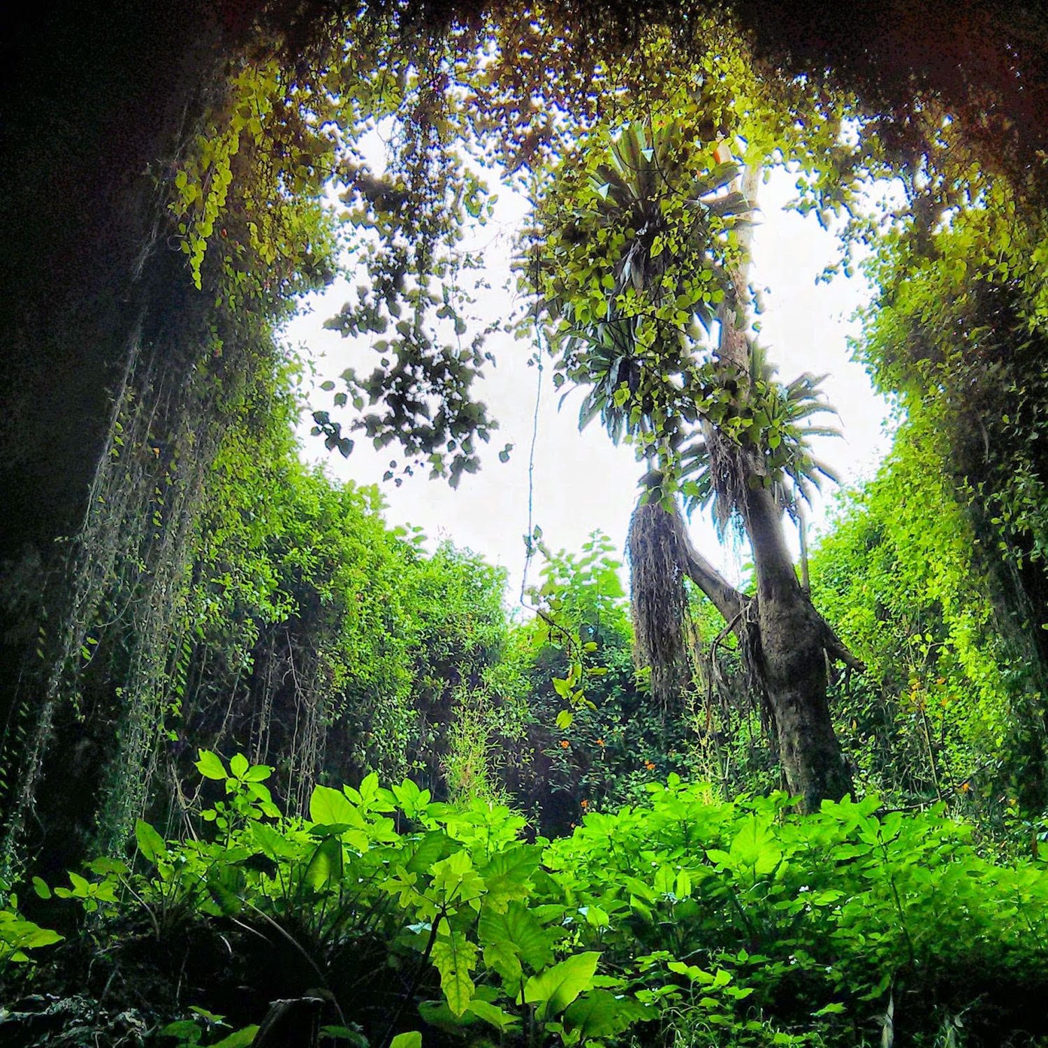 Musanze Caves