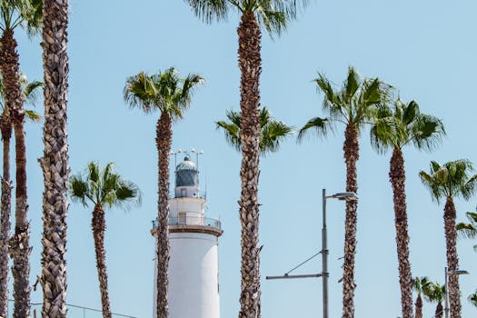 Museo de Huelva