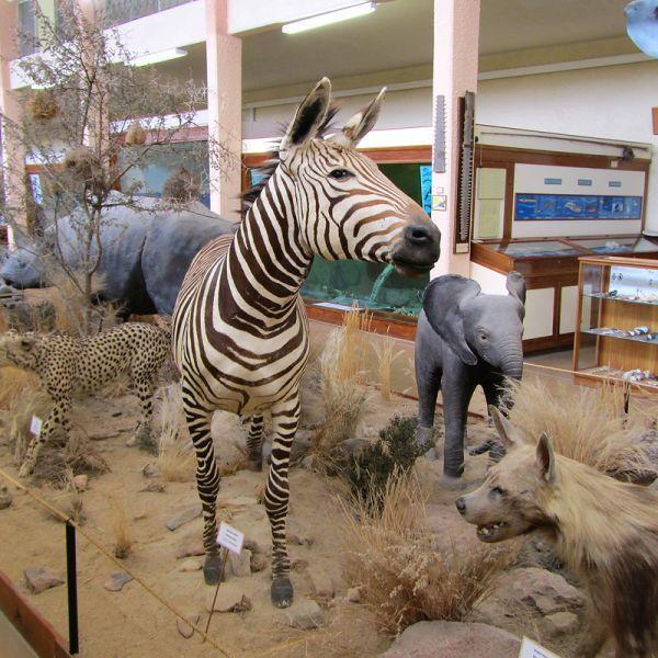 Museum of Swakopmund