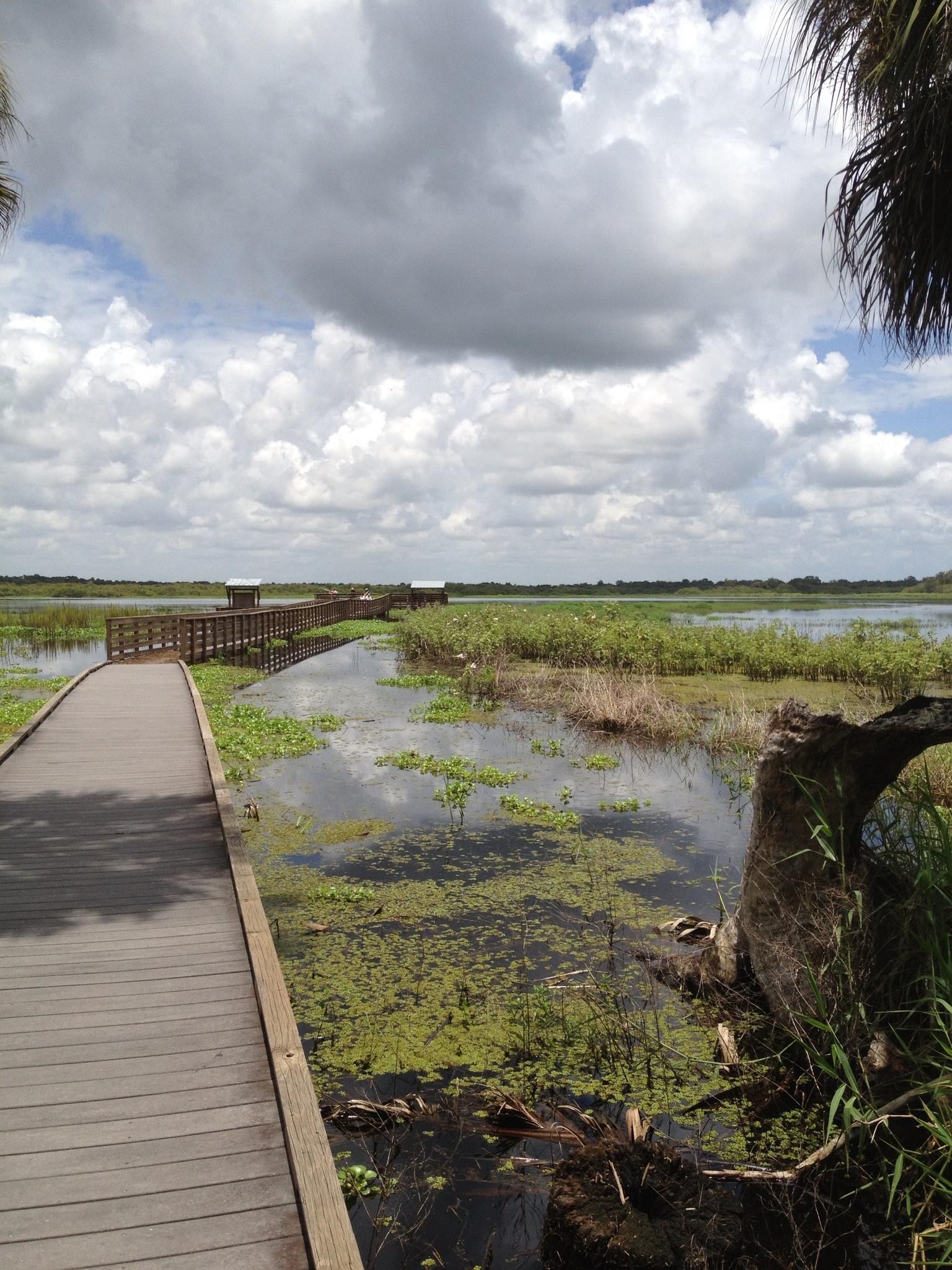 Myakka River State Park