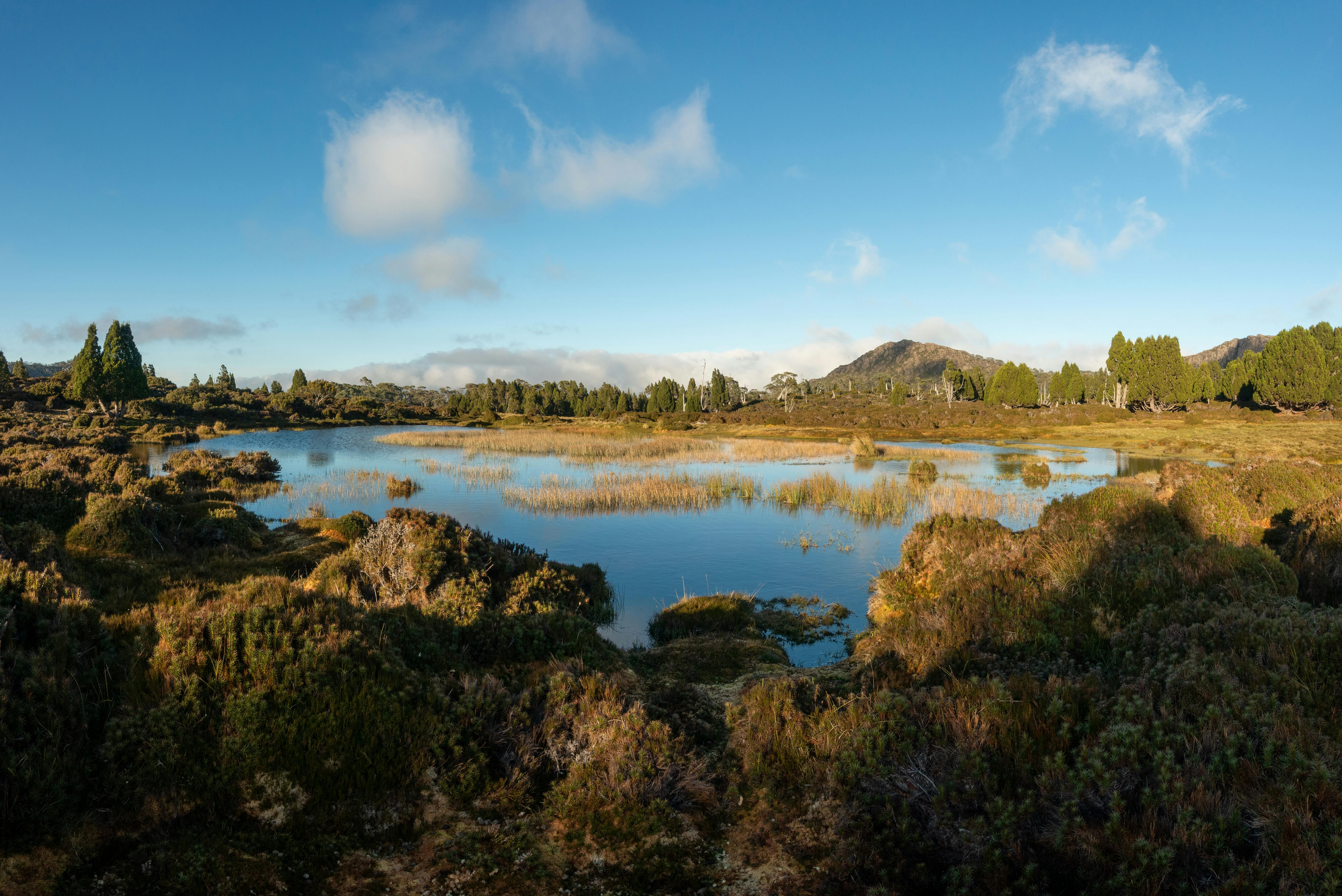 Nam Ha National Protected Area