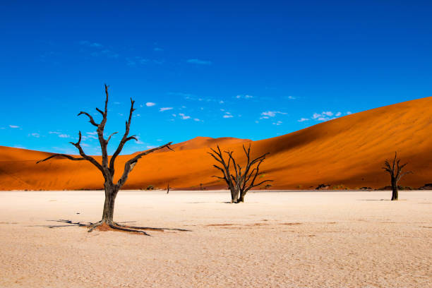 Namib-Naukluft National Park