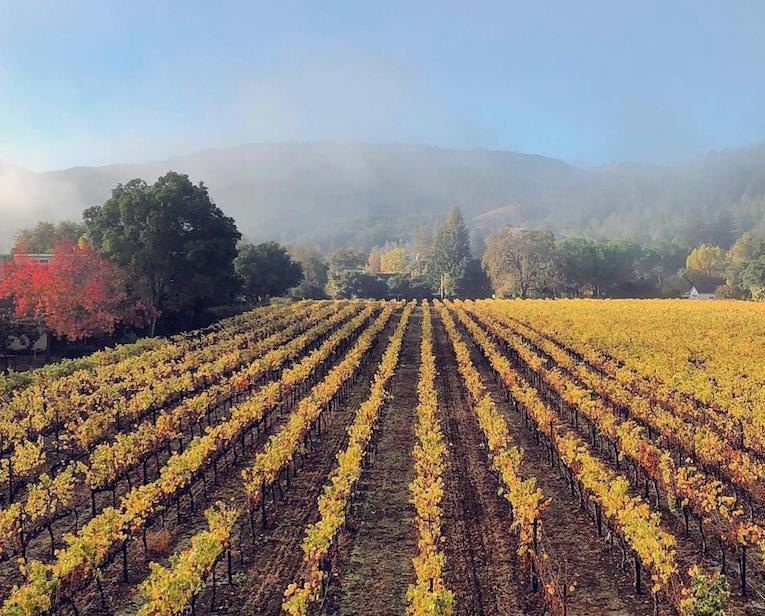 Napa Valley wineries