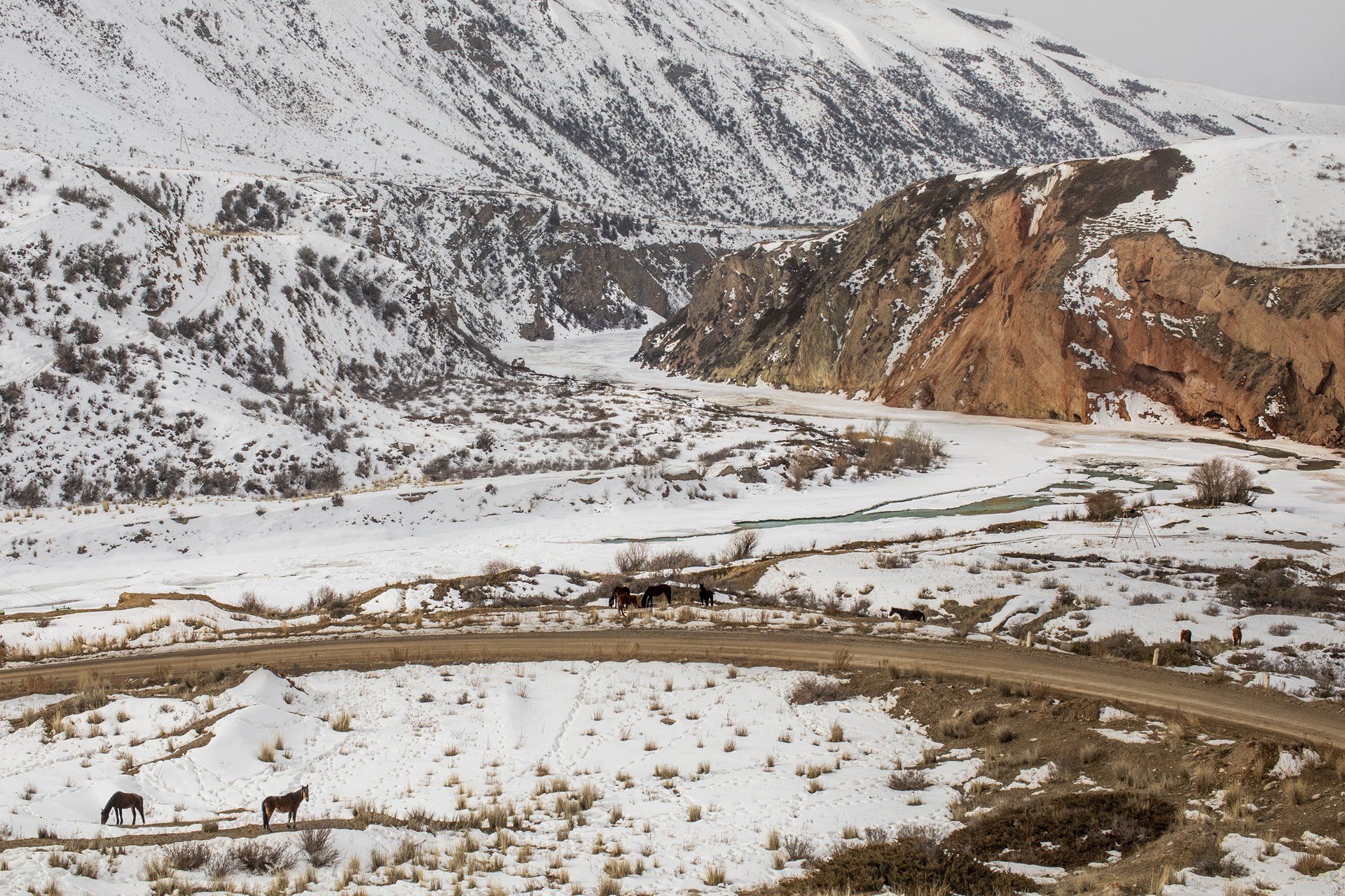 Naryn River