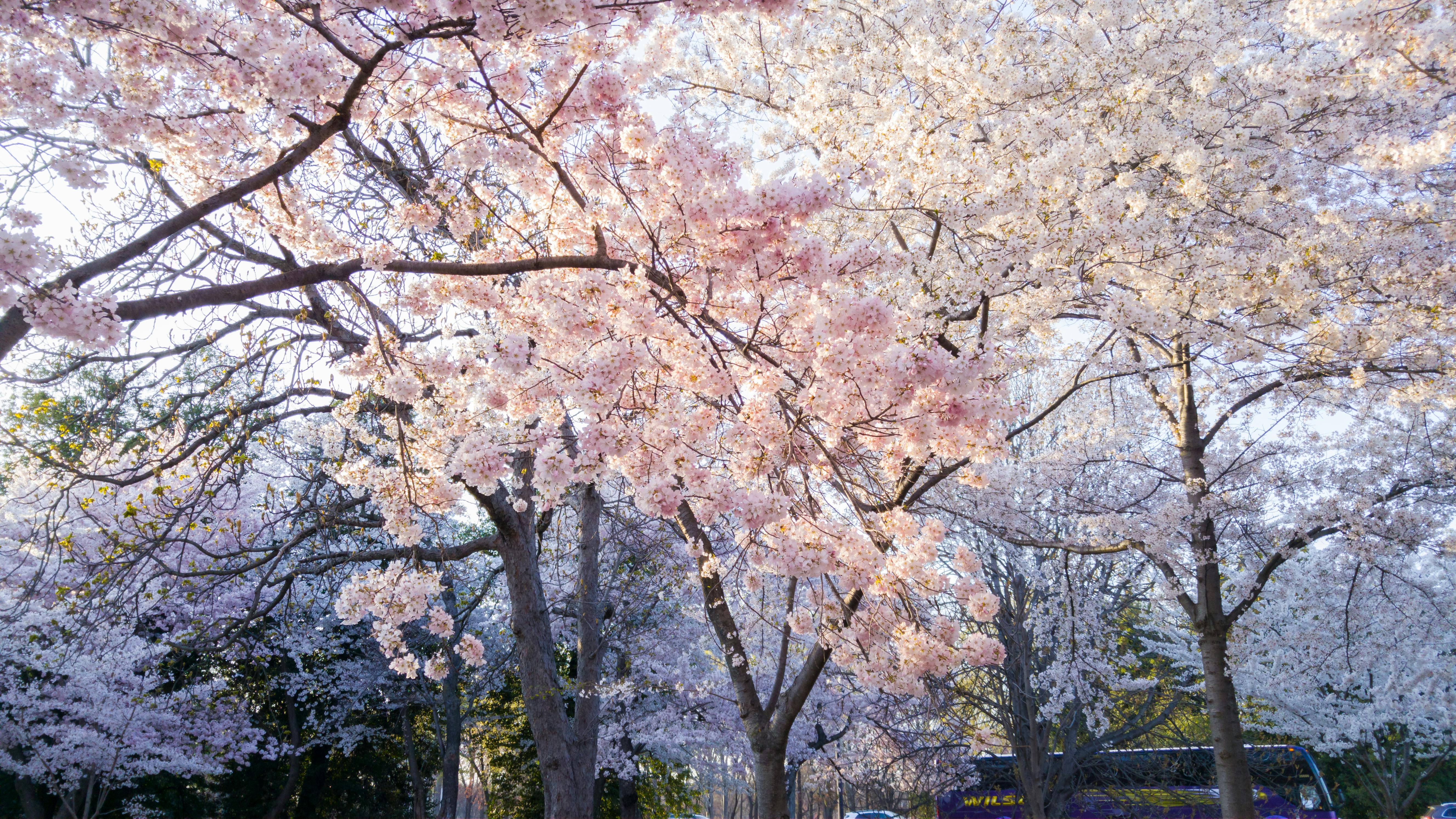 National Landmark Garden