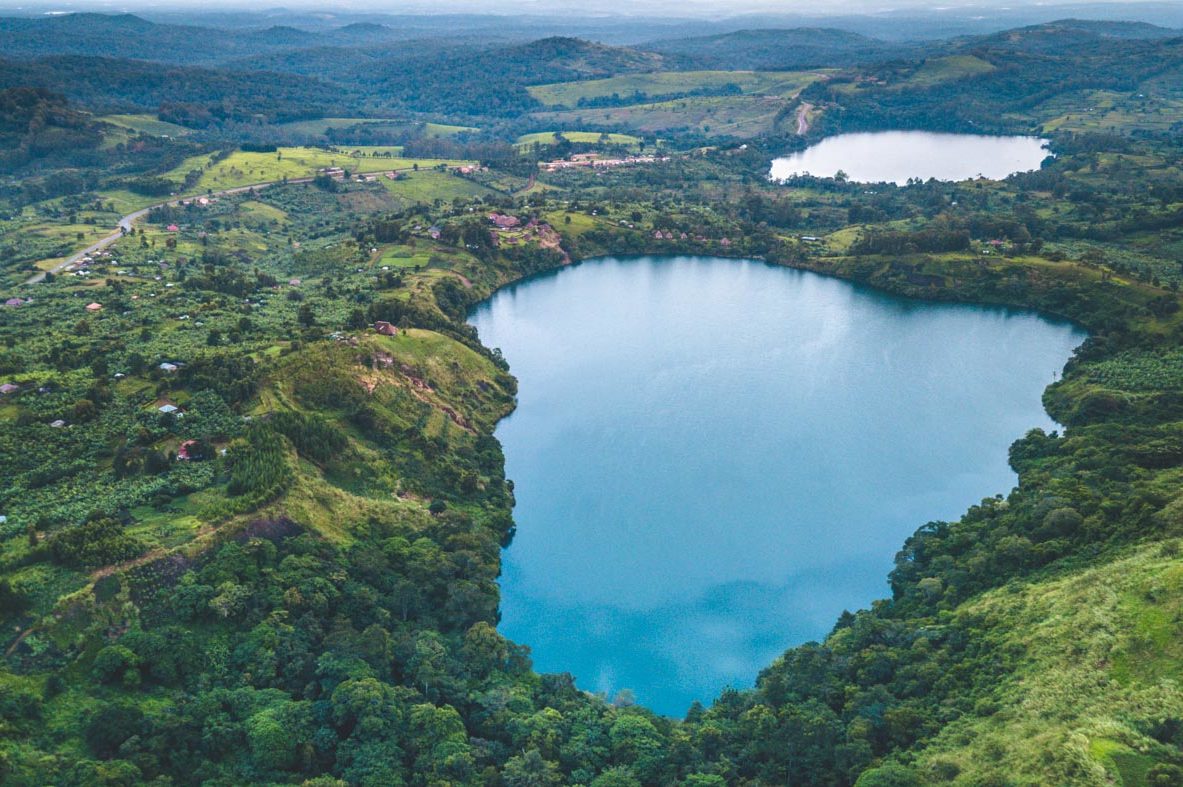 Nature Walk in Kibale National Park