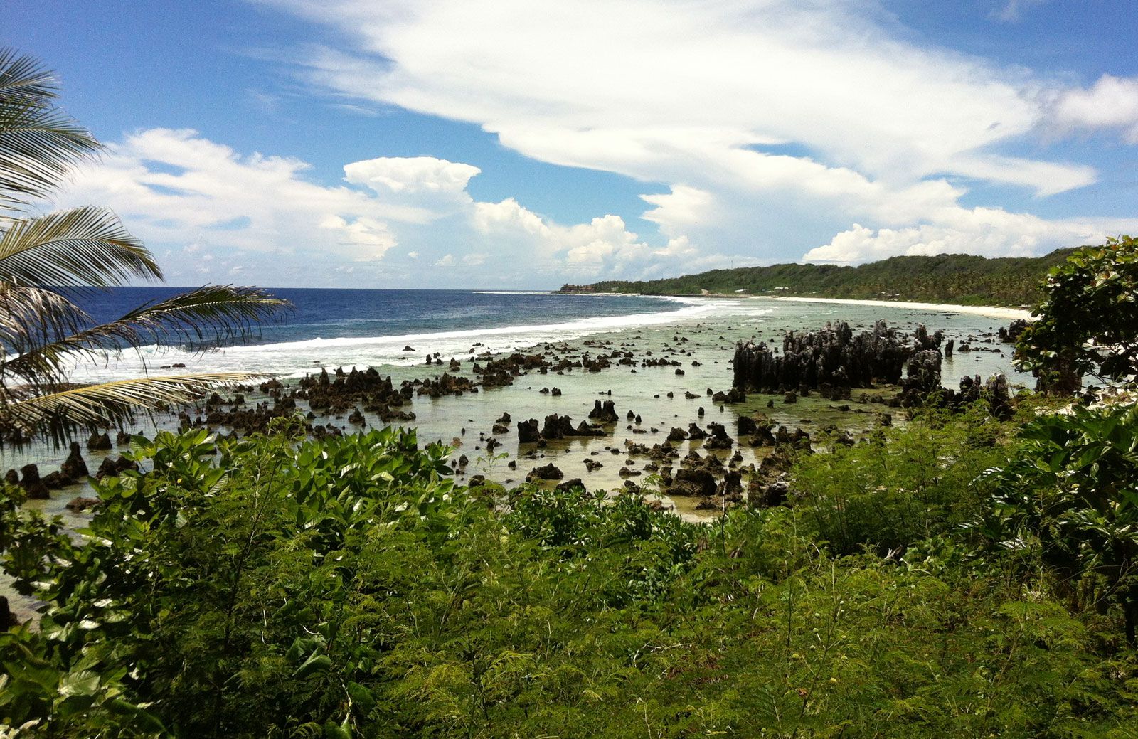 Nauru Phosphate Corporation