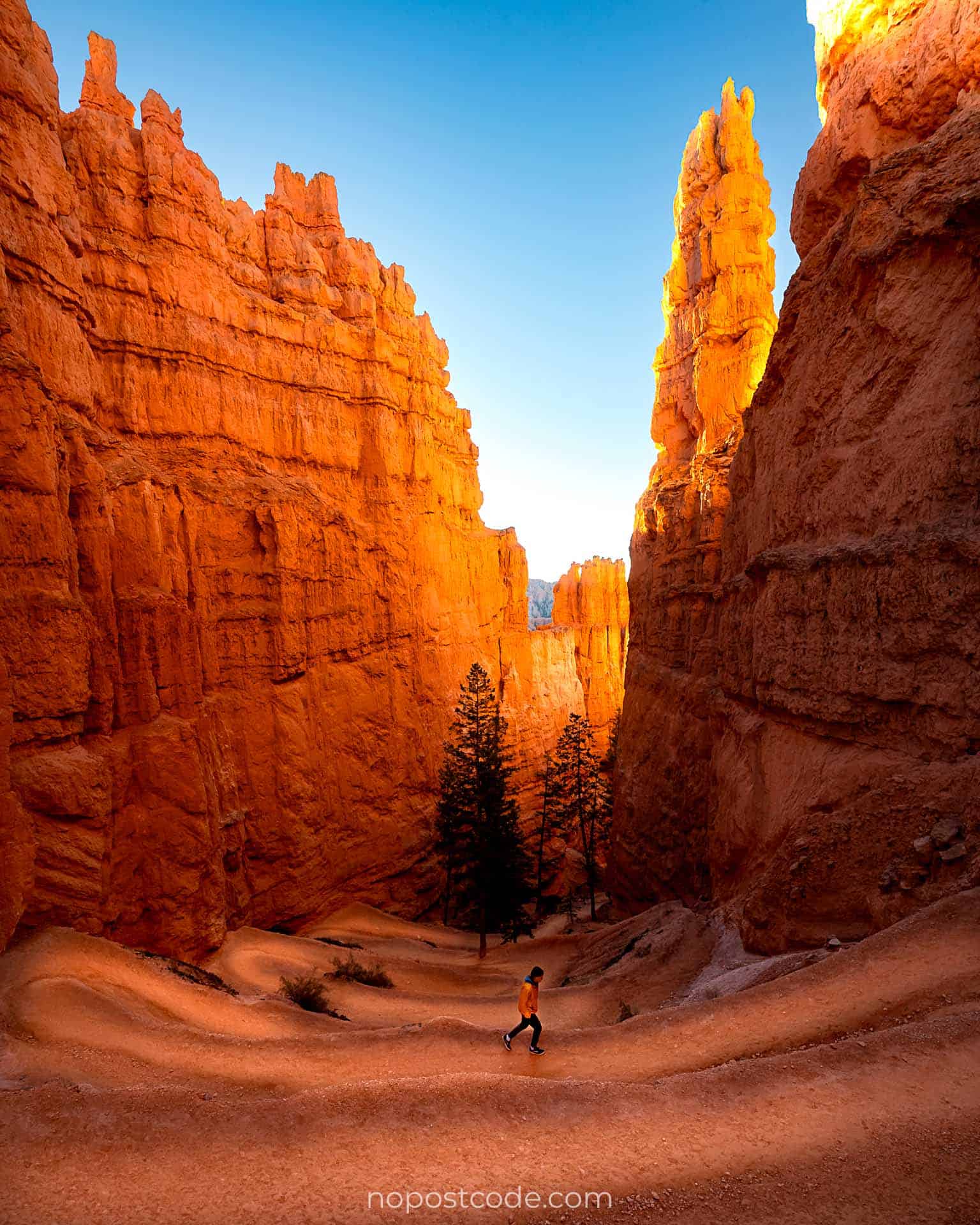 Navajo Loop Trail