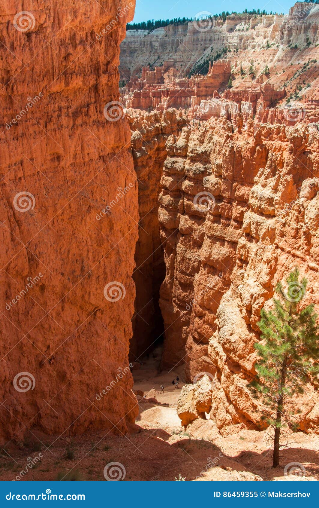 Navajo Loop Trail