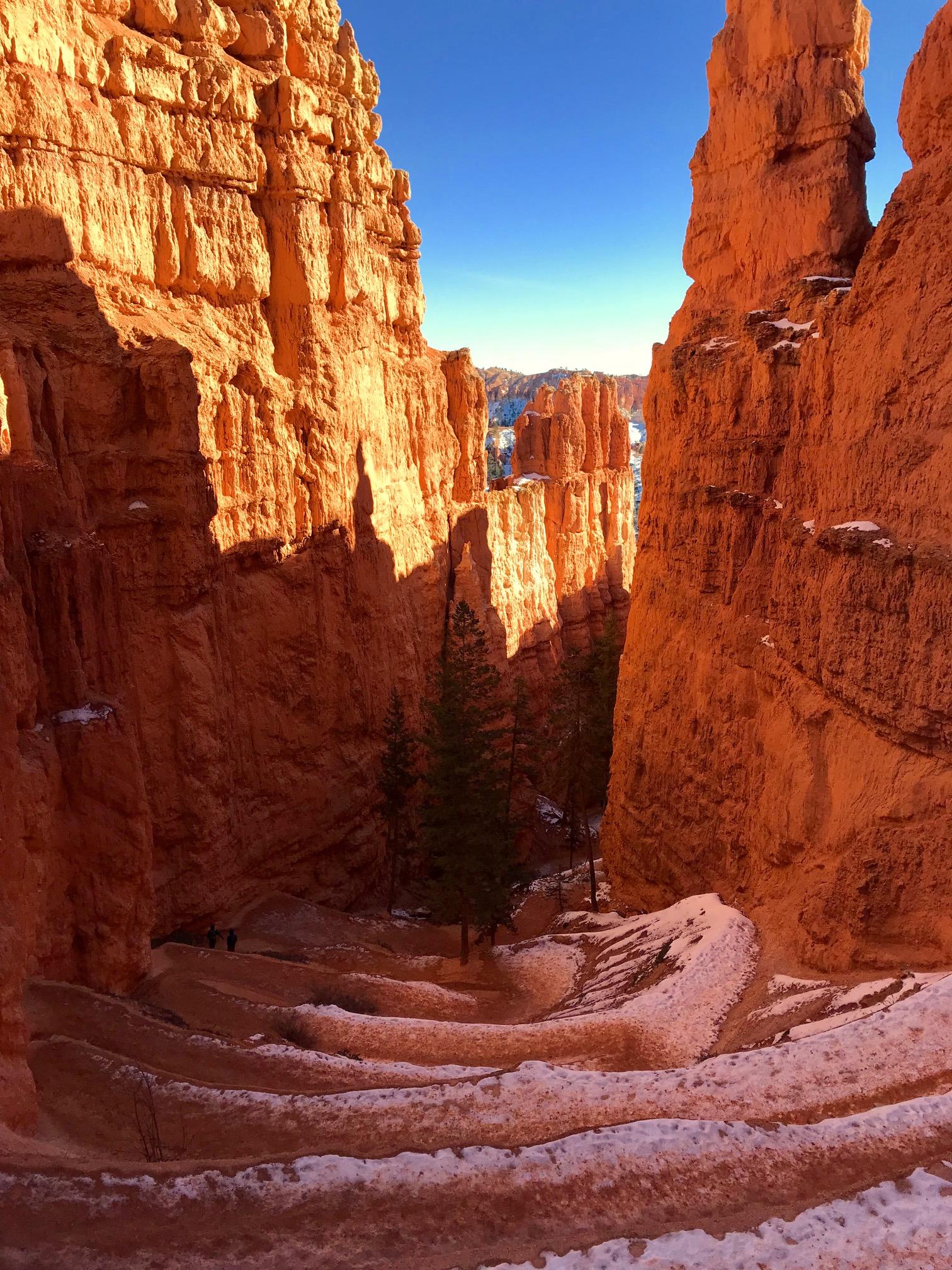 Navajo Loop Trail