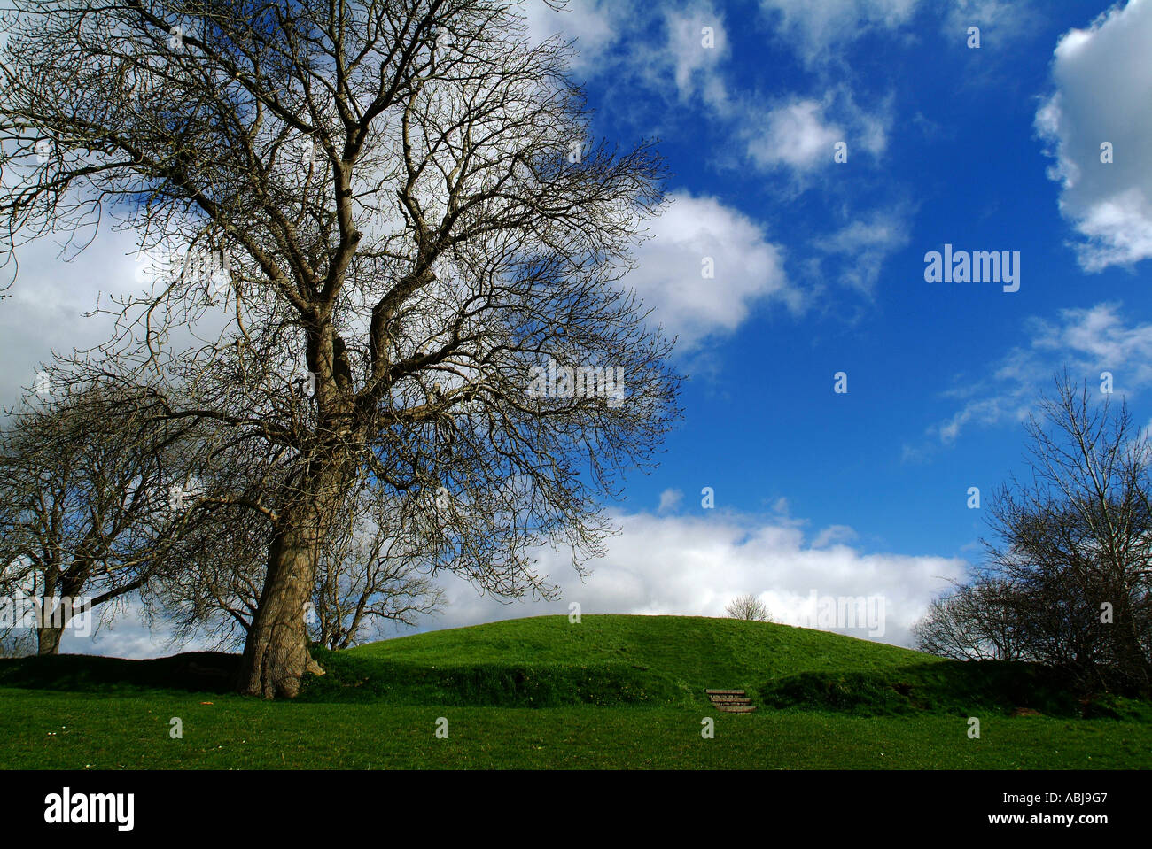 Navan Fort