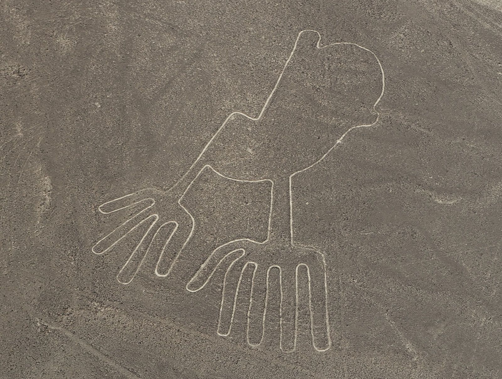 Nazca Lines