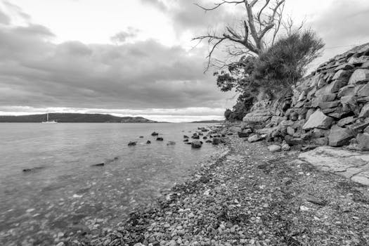 Nelson Bay Foreshore