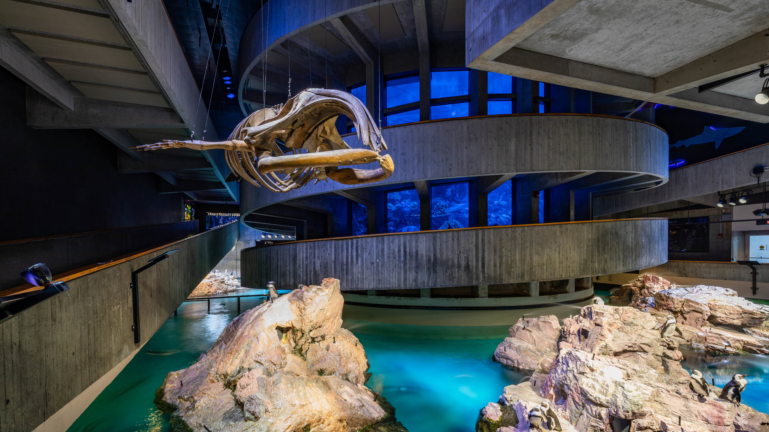 New England Aquarium