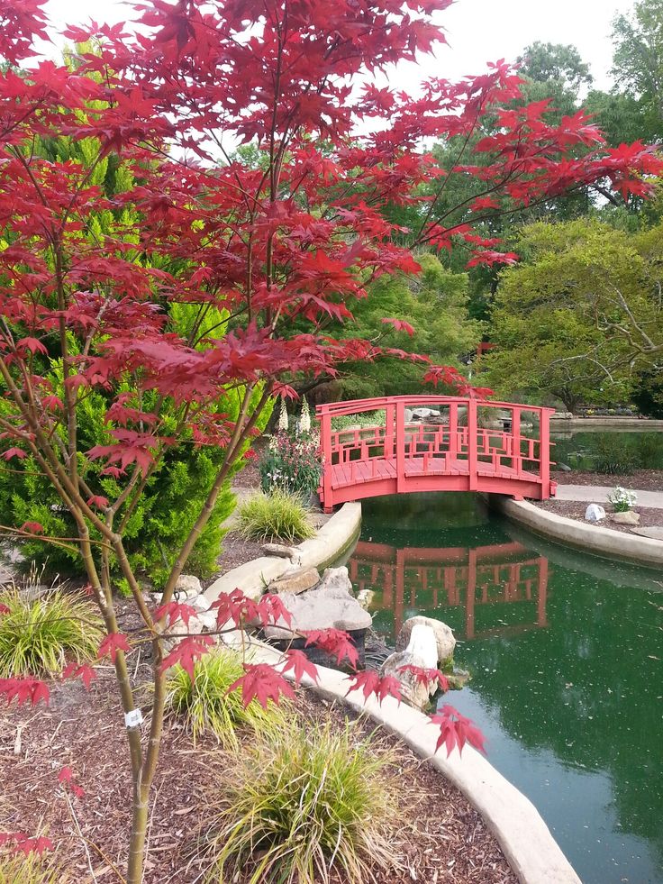 New Hanover County Arboretum