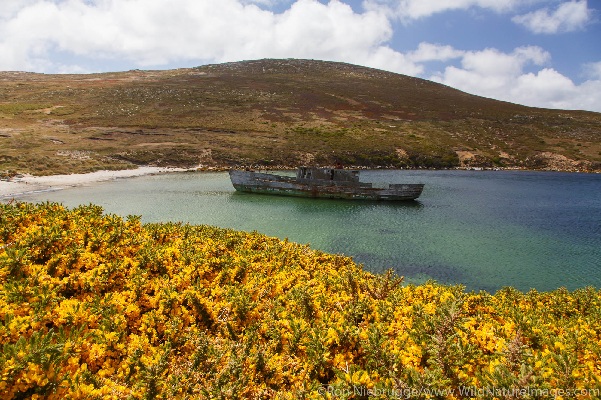 New Island Nature Reserve