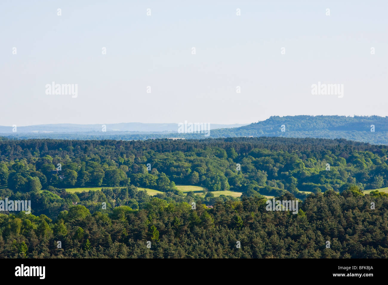 Newlands Corner