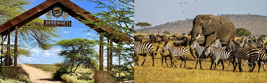 Ngorongoro Crater