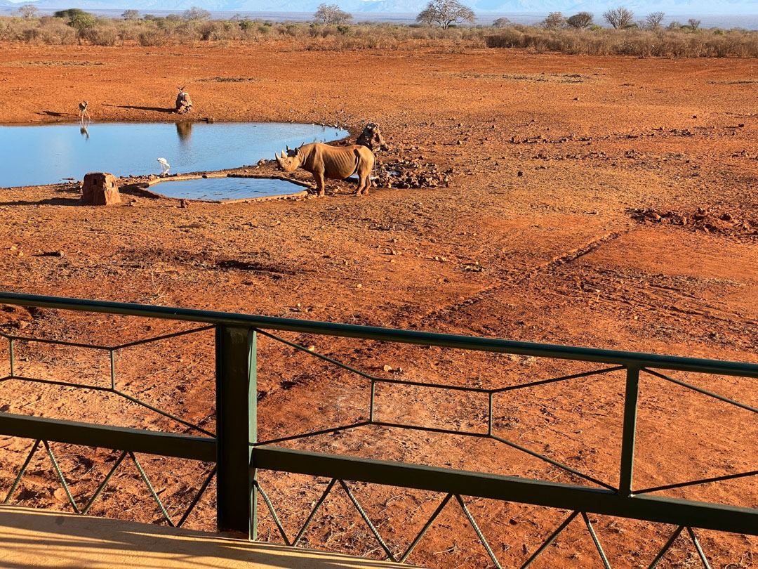 Ngulia Rhino Sanctuary