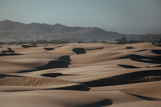 Nipomo Dunes Preserve