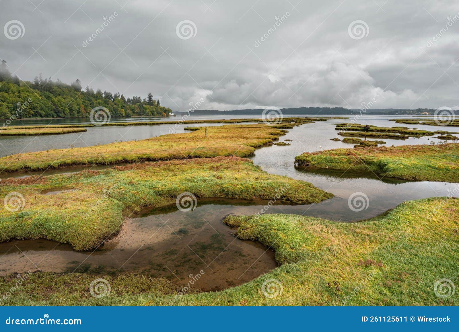 Nisqually National Wildlife Refuge