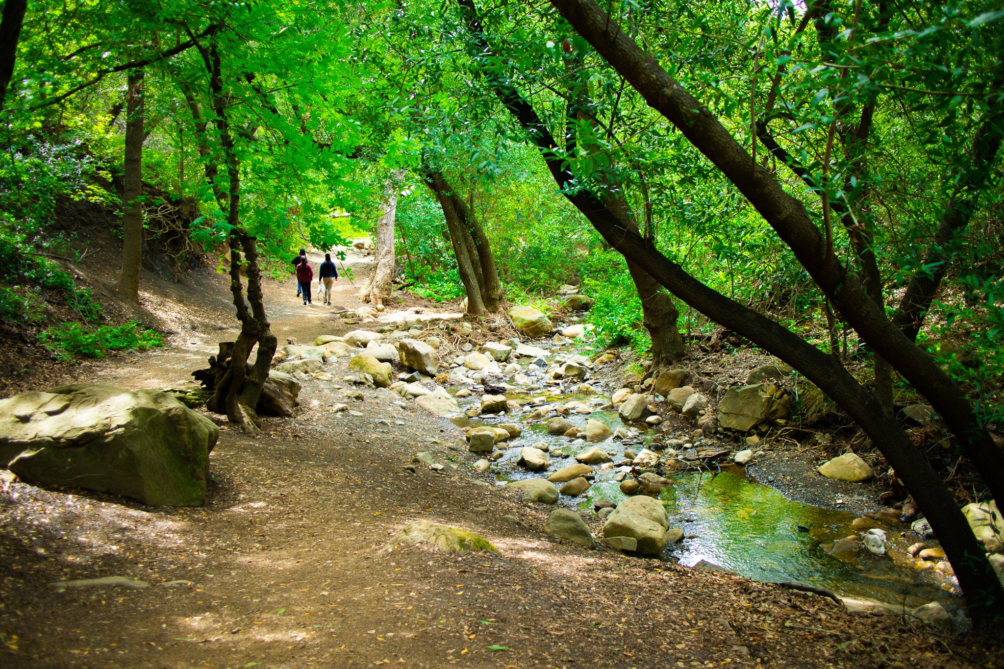 Nojoqui Falls Park