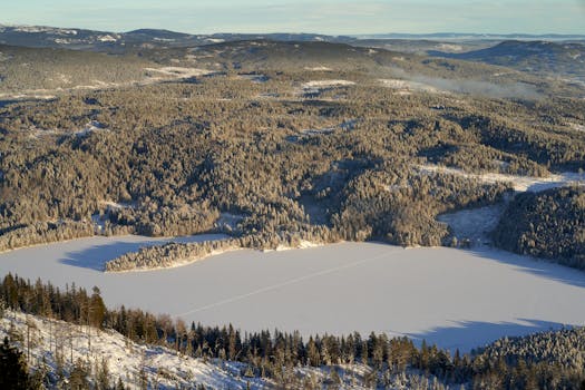 Nordmarka Forest