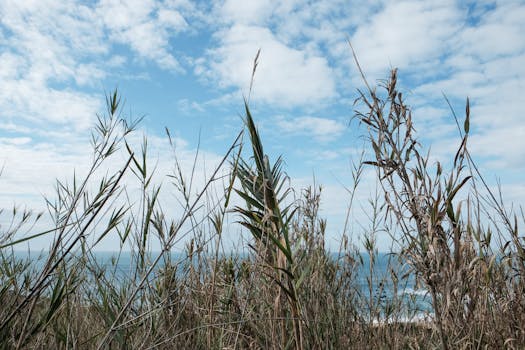 North Beach (Praia do Norte)