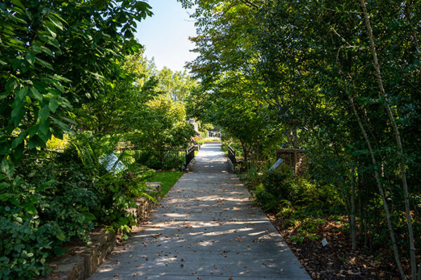 North Carolina Arboretum