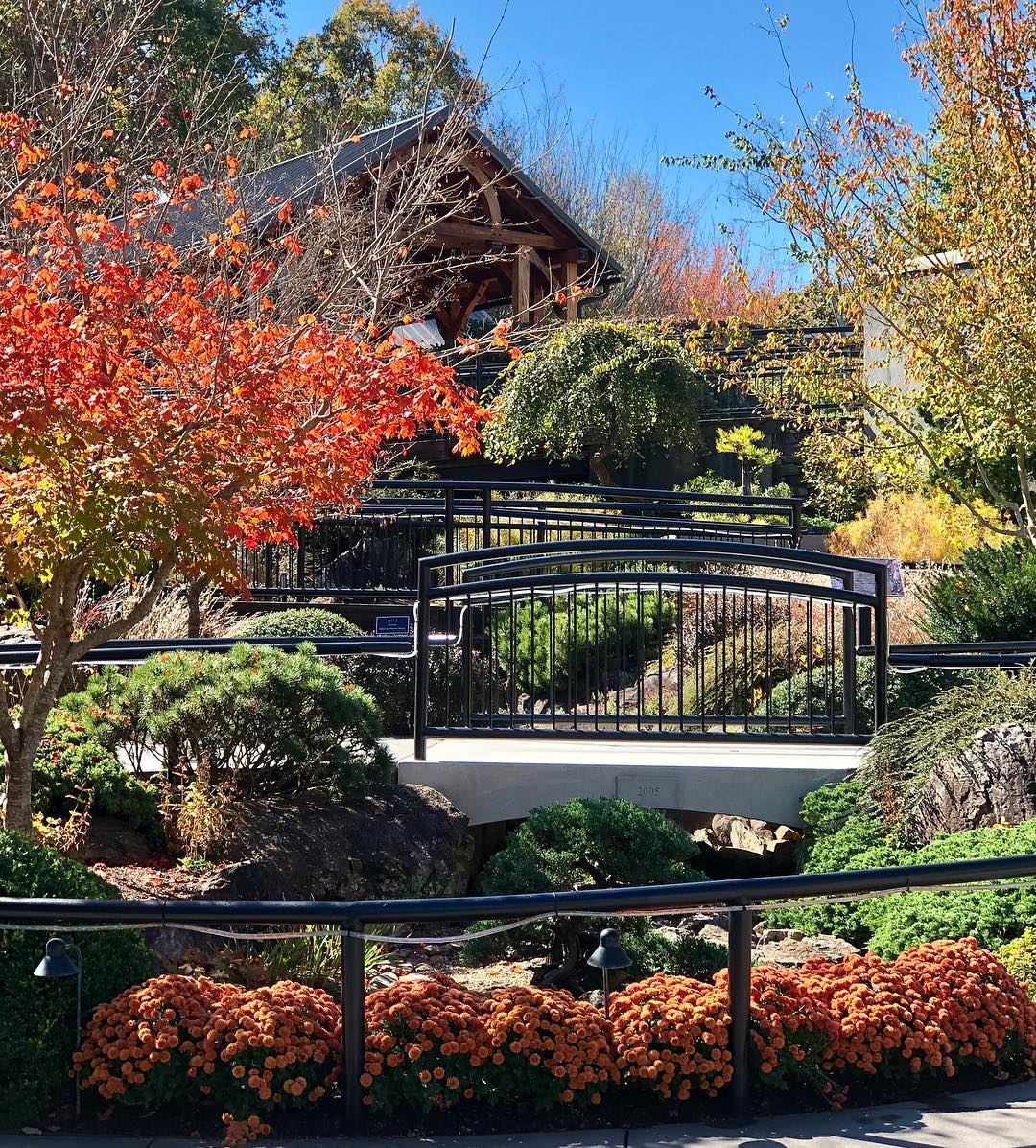 North Carolina Arboretum