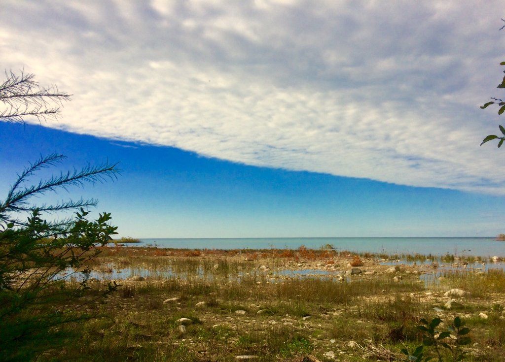 North Point Nature Preserve