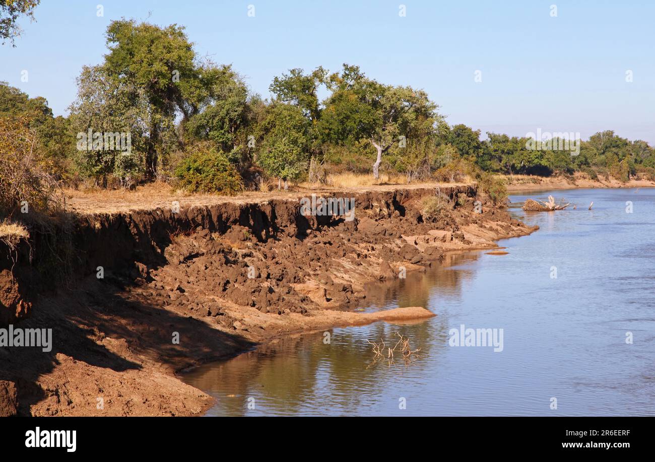 Nsefu Sector