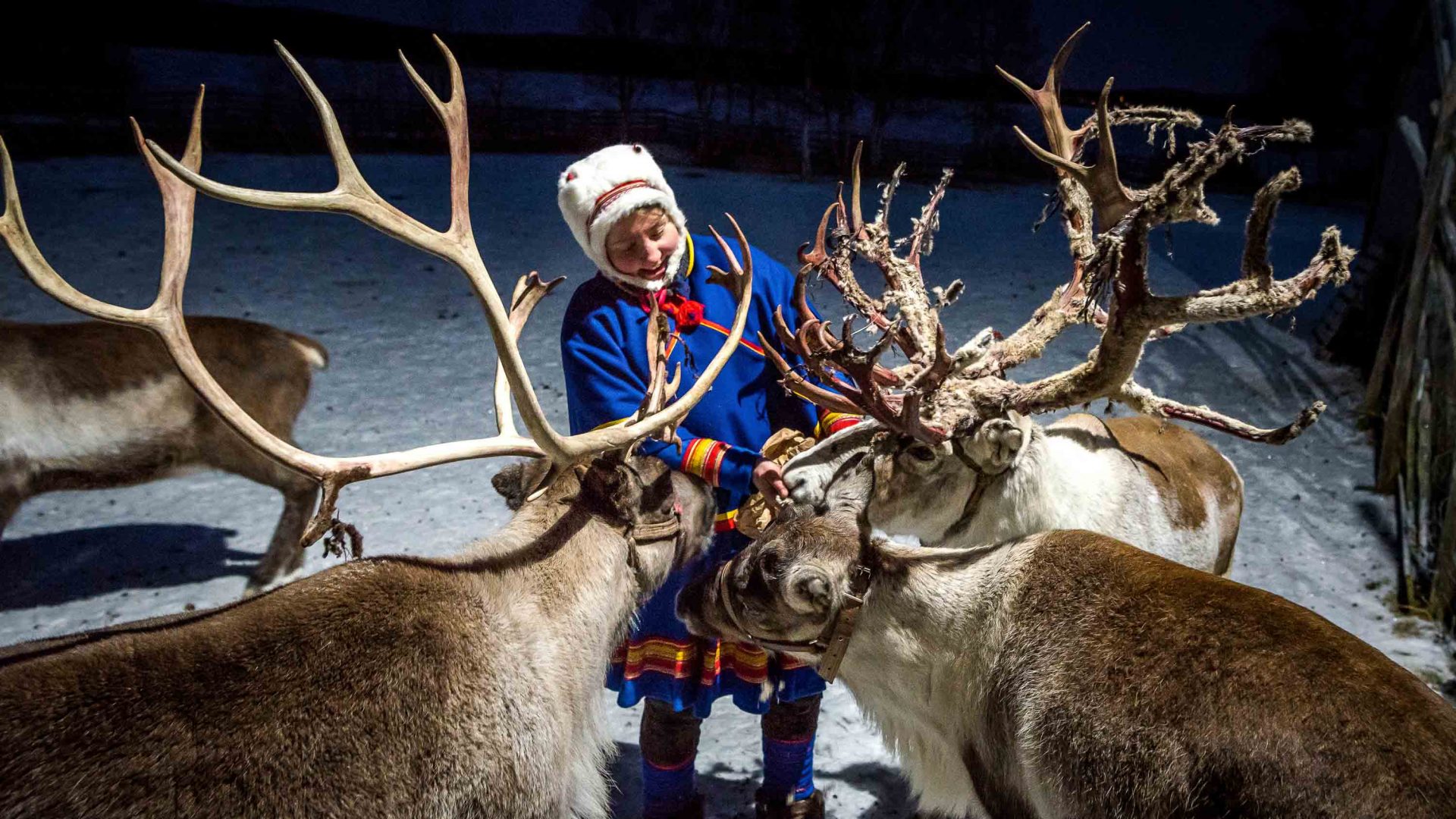 Nutti Sámi Siida