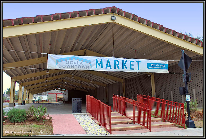 Ocala Downtown Market