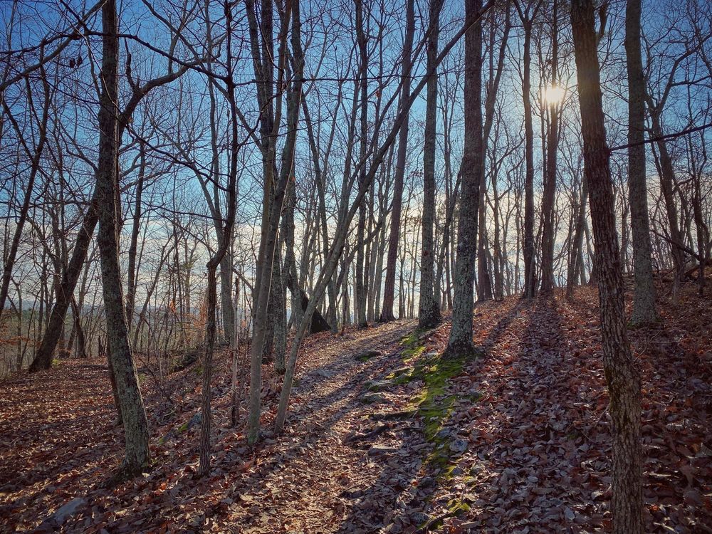 Occoneechee Mountain State Natural Area