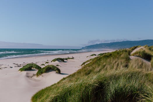 Oceano Dunes State Vehicular Recreation Area