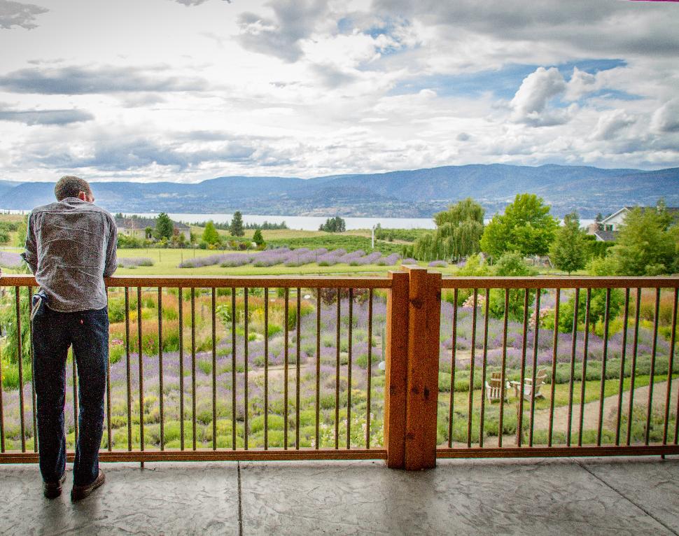 Okanagan Lavender & Herb Farm