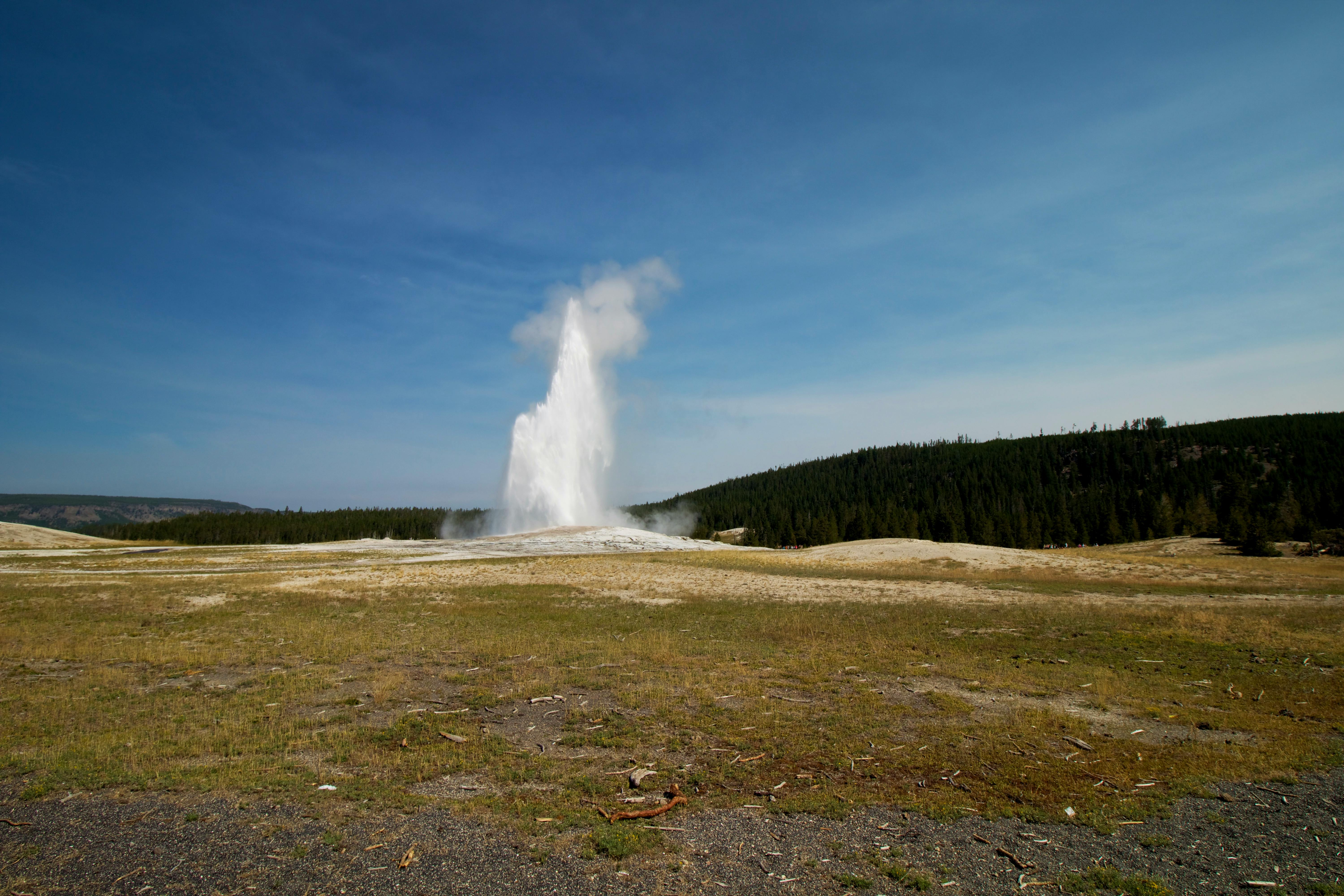 Old Faithful Geyser of California