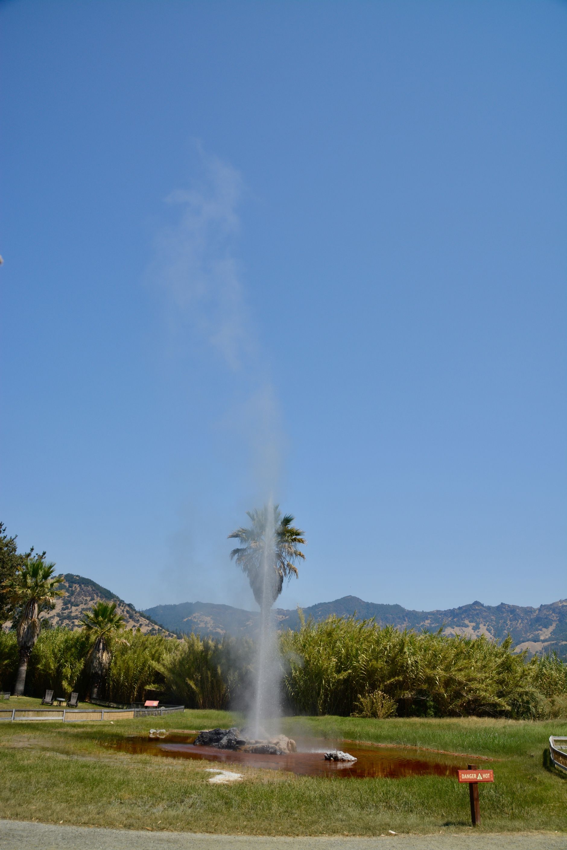 Old Faithful Geyser of California