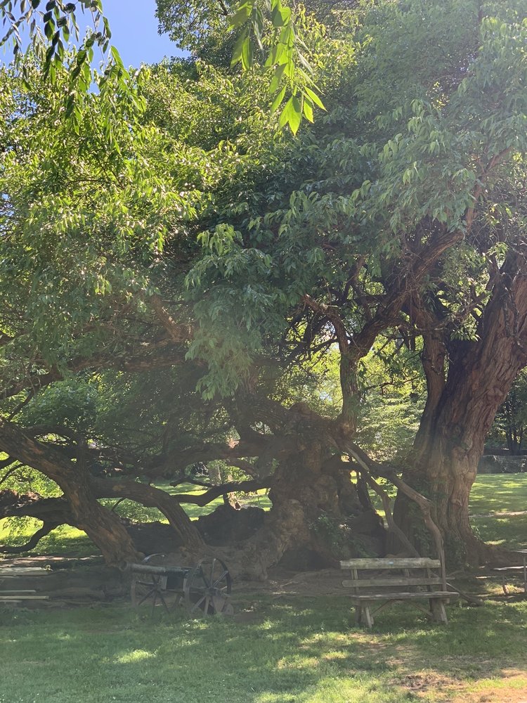 Old Fort Harrod State Park