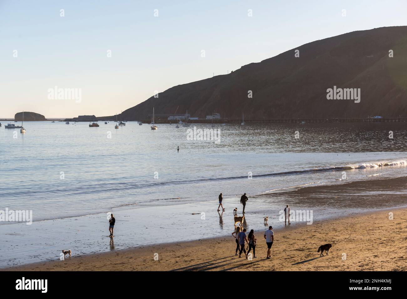 Olde Port Beach