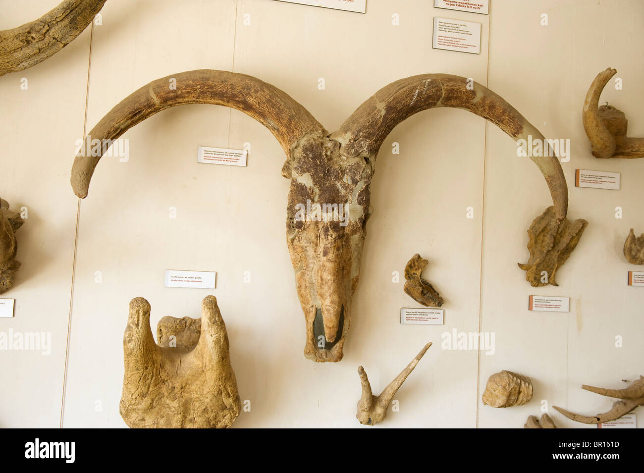 Olduvai Gorge