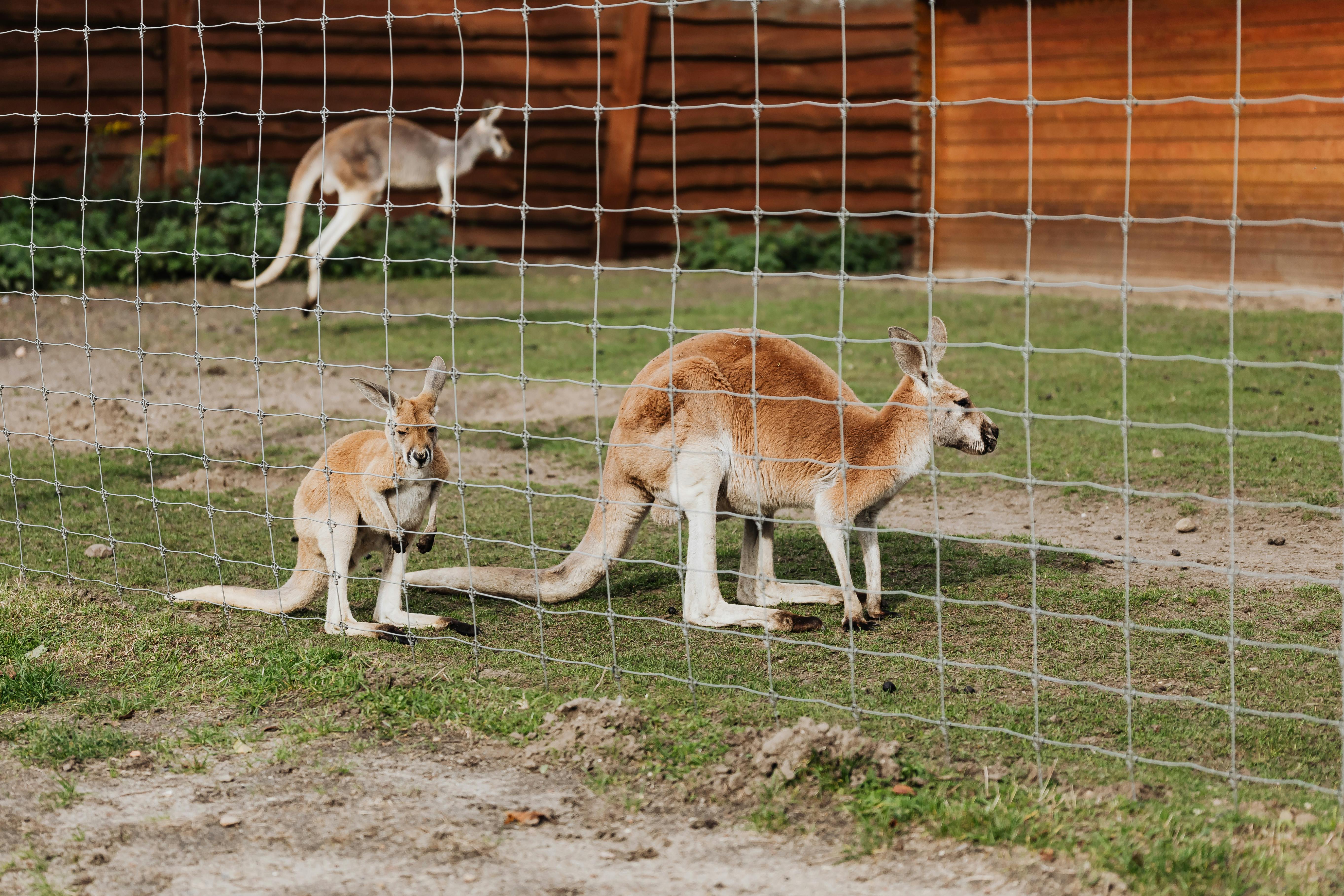 Olomouc Zoo