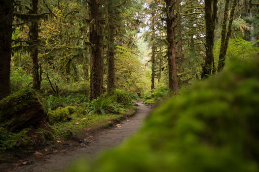 Olympic Discovery Trail