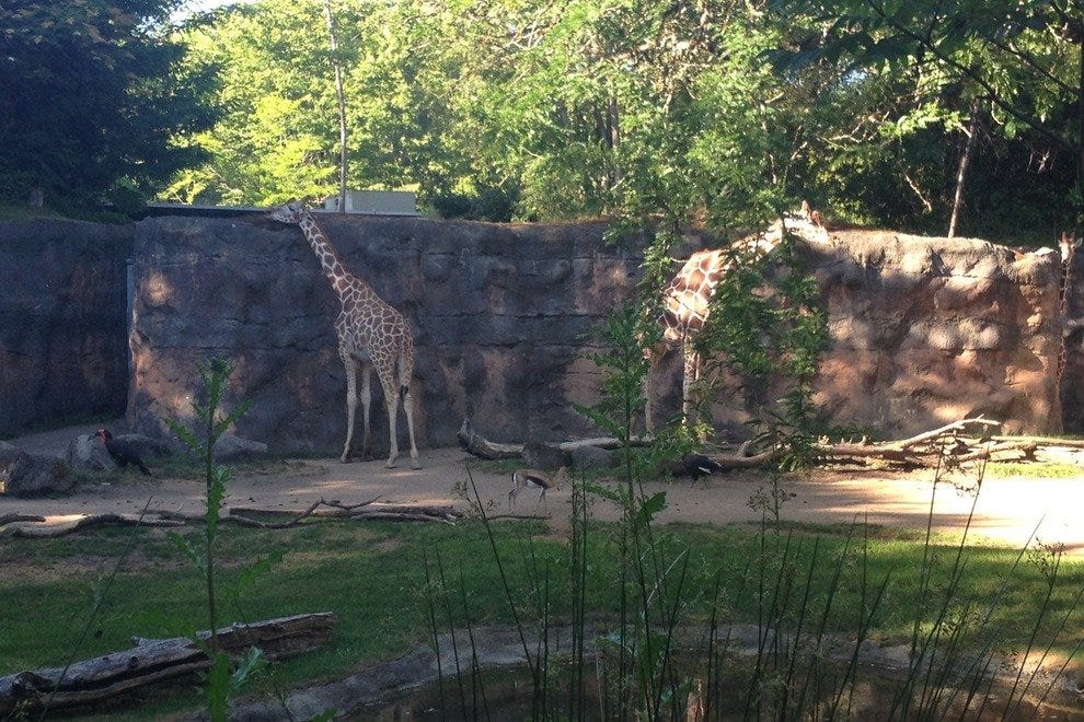 Oregon Zoo