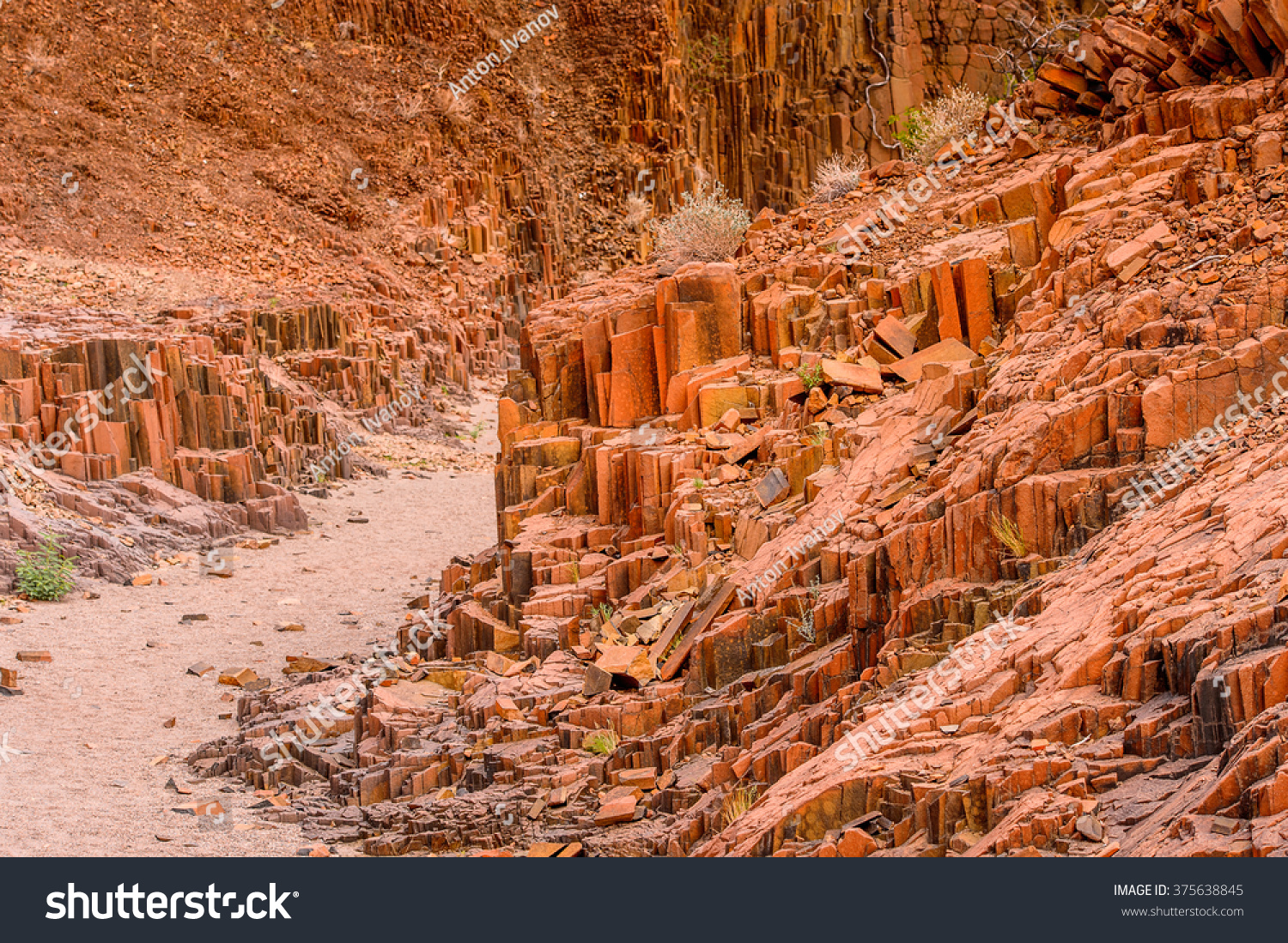 Organ Pipes