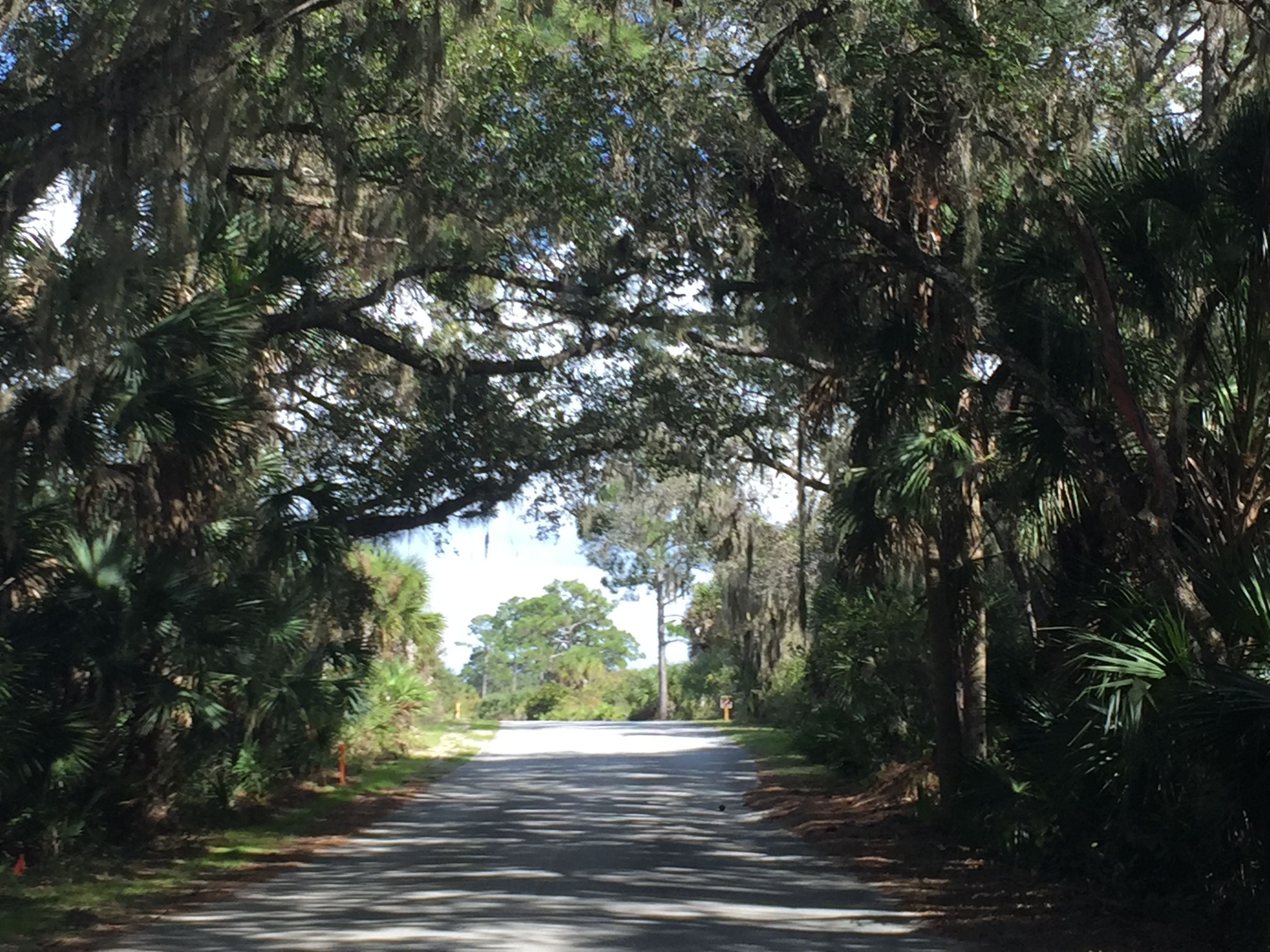 Oscar Scherer State Park